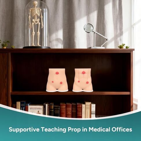 Stoma Demonstration Models Set of 2,Silicone Ostomy Simulator for Medical Teaching & Patient Education in Kuwait