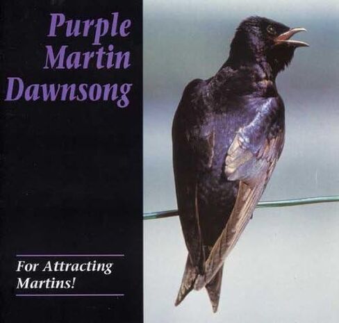 Purple Martin Conservation Products - Dawn Song CD - Purple Martin Attractors in Saudi Arabia