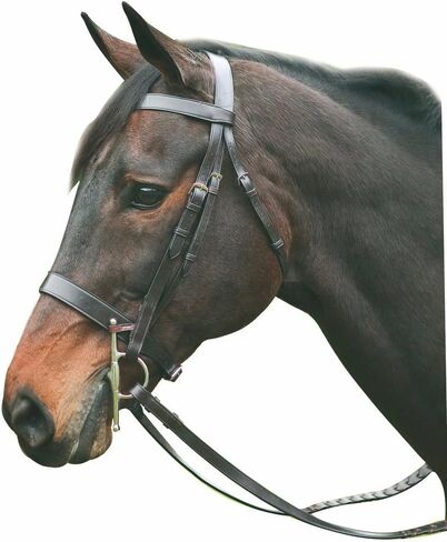 Henri de Rivel Pro Hunt Bridle in Kuwait