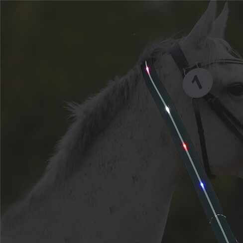 High Visibility LED Horse Breastplate - Adjustable Glowing Tack for Night Riding in Saudi Arabia