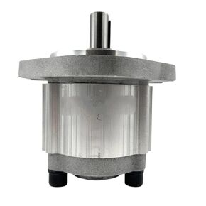 Hydraulic Gear Pump CBW Series high-Pressure Gear Pump Hydraulic Oil Small Excavator Booster Suitable for Mechanical Systems of(CBW-F306) in Kuwait