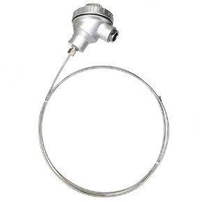 K-Type Armored Thermocouple WRNK-131 Bendable Temperature Probe WZPK Pt100 Platinum Thermal Resistance 1Pcs(PT100φ6*500mm) in Kuwait