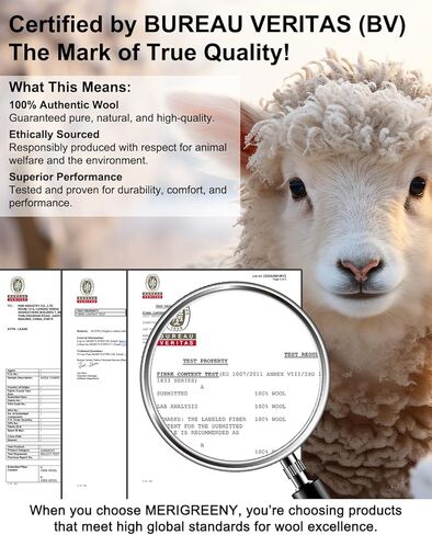 تي شيرت نسائي من صوف ميرينو 100%، رقبة دائرية خفيفة الوزن ماصة للرطوبة، طبقة أساسية رياضية للجري in Kuwait