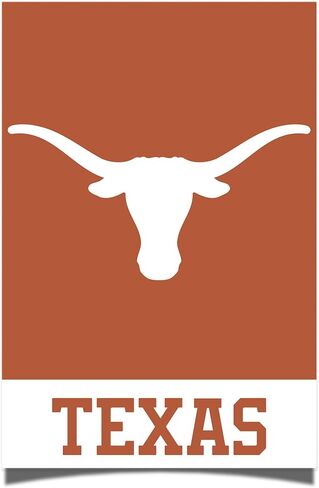 Desert Cactus University of Texas Austin Poster UT Austin Longhorns 11 x 17 Inch Room Office Décor Decoration Official Fan Gear (11x17,Version 1A) in Saudi Arabia