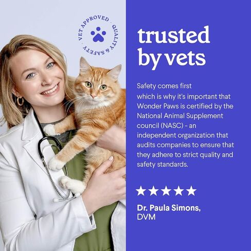 Premium L-Lysine Supplement for Cats – for Immune Support, Sneezing, Runny Nose, Watery Eyes & Nasal Health– 60ML Lysine for Feline Respiratory Support – Cat Lysine Drops with Taurine for Immunity in Kuwait