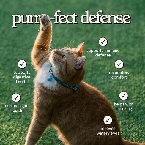 Premium L-Lysine Supplement for Cats – for Immune Support, Sneezing, Runny Nose, Watery Eyes & Nasal Health– 60ML Lysine for Feline Respiratory Support – Cat Lysine Drops with Taurine for Immunity in Kuwait