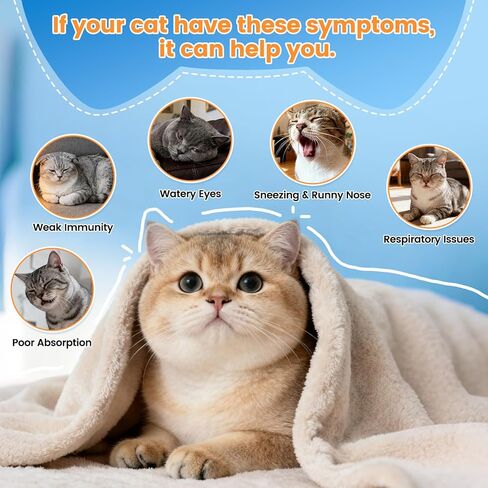 L-Lysine Supplement for Cats - Immune & Respiratory Support for Feline Health - Promotes Eye Function, Reduces Sneezing & Runny Nose - Natural Defense Boost - Roast Chicken Flavor, 60ML in Kuwait