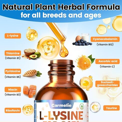 L-Lysine Supplement for Cats - Immune & Respiratory Support for Feline Health - Promotes Eye Function, Reduces Sneezing & Runny Nose - Natural Defense Boost - Roast Chicken Flavor, 60ML in Kuwait