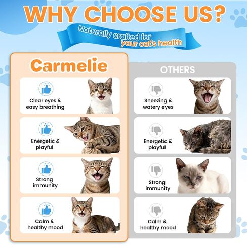 L-Lysine Supplement for Cats - Immune & Respiratory Support for Feline Health - Promotes Eye Function, Reduces Sneezing & Runny Nose - Natural Defense Boost - Roast Chicken Flavor, 60ML in Kuwait