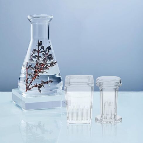 BESTYASH 2pcs Lab Glass Staining Jar with Glass Lid, Vertical Coplin Slide Staining Tank for 5 and 9 Microscope Slides, Laboratory Glassware for Scientific Experiments in Kuwait