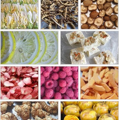 Scientific Freeze Drying Equipment - Fruit and Vegetable Vacuum Dryer With Four Trays - Laboratory Sublimation Dryer - 0.4 Dried Area in Saudi Arabia