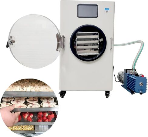 Scientific Freeze Drying Equipment - Fruit and Vegetable Vacuum Dryer With Four Trays - Laboratory Sublimation Dryer - 0.4 Dried Area in Saudi Arabia