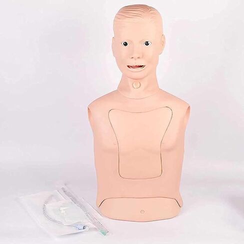 Intubation Gastric Tube Medical Training Manikin Advanced Nasogastric Tube and Trachea Care Model Gastric Lavage Tracheostomy Model for N Teaching Education in Kuwait