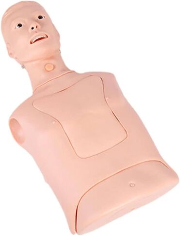 Intubation Gastric Tube Model Multifunctional Training Manikin Advanced Nasogastric Tube and Trachea Care Model Gastric Lavage Tracheostomy Model for Nurse and Medical Students in Kuwait