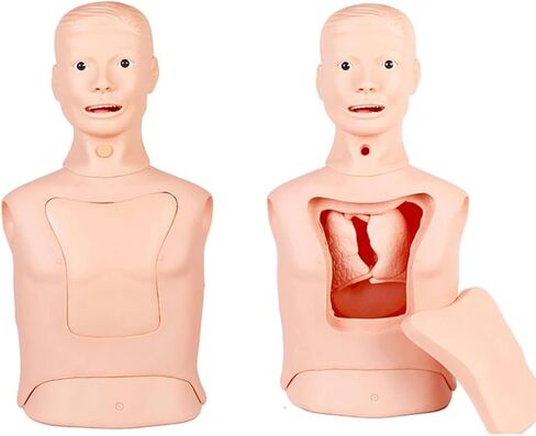 Intubation Gastric Tube Model Multifunctional Training Manikin Advanced Nasogastric Tube and Trachea Care Model Gastric Lavage Tracheostomy Model for Nurse and Medical Students in Kuwait