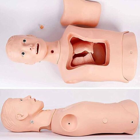 Intubation Gastric Tube Model Multifunctional Training Manikin Advanced Nasogastric Tube and Trachea Care Model Gastric Lavage Tracheostomy Model for Nurse and Medical Students in Kuwait