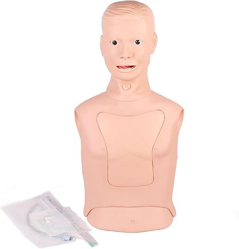 Intubation Gastric Tube Model Multifunctional Training Manikin Advanced Nasogastric Tube and Trachea Care Model for Nurse and Medical Students in Kuwait