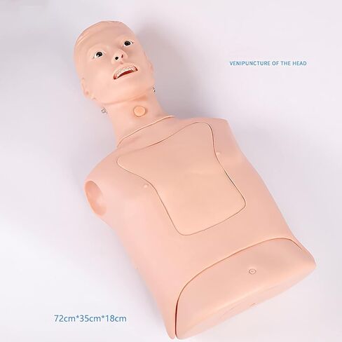 Intubation Gastric Tube Model Multifunctional Training Manikin Advanced Nasogastric Tube and Trachea Care Model for Nurse and Medical Students in Kuwait