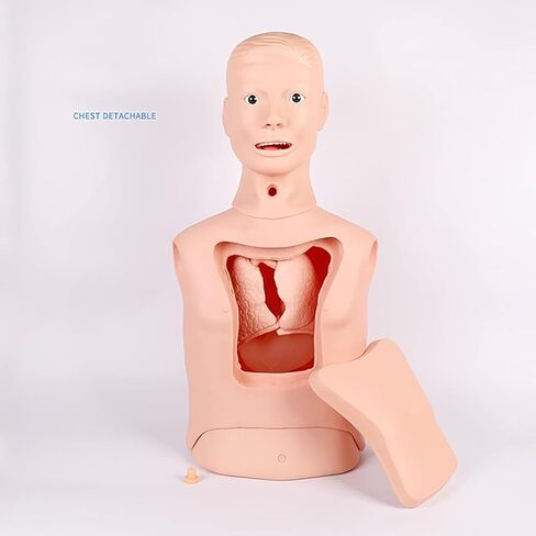 Intubation Gastric Tube Model Multifunctional Training Manikin Advanced Nasogastric Tube and Trachea Care Model for Nurse and Medical Students in Kuwait