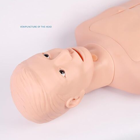 Intubation Gastric Tube Model Multifunctional Training Manikin Advanced Nasogastric Tube and Trachea Care Model for Nurse and Medical Students in Kuwait