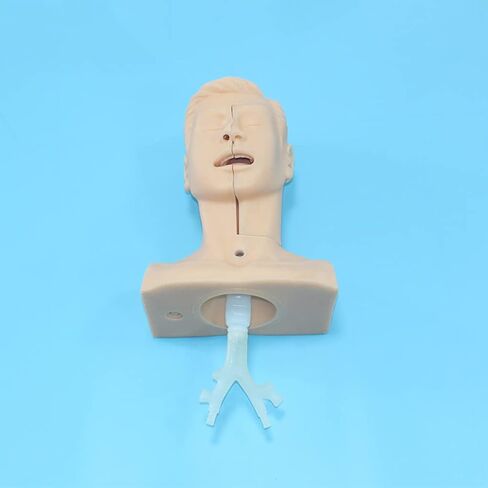 Teaching Model Tools,Sputum Suction Exercise Medical Model Multifunctional Endotracheal Intubation Training Model Airway Opening Practice Suction Training Simulator Nurse Training in Saudi Arabia
