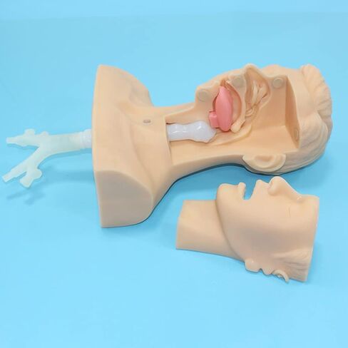 Teaching Model Tools,Sputum Suction Exercise Medical Model Multifunctional Endotracheal Intubation Training Model Airway Opening Practice Suction Training Simulator Nurse Training in Saudi Arabia