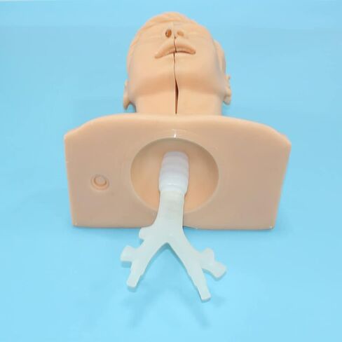 Teaching Model Tools,Sputum Suction Exercise Medical Model Multifunctional Endotracheal Intubation Training Model Airway Opening Practice Suction Training Simulator Nurse Training in Saudi Arabia