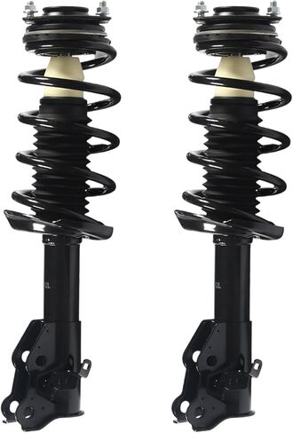 Pair Rear Struts w/Coil Spring Assembly Fits for Honda Element 2003-2011 Shock Absorbers Replacement 171101L 171101R in Saudi Arabia