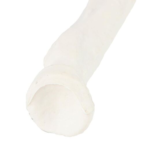 Axis Scientific Radius Bone Model | Left | Cast from a Real Human Radius Bone l Forearm Bone Model Has Realistic Texture and Important Bony Landmarks | Includes Product Manual in Saudi Arabia
