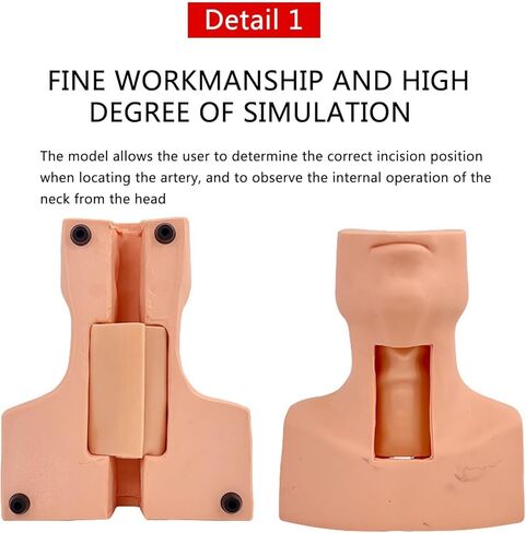 Manikin Practice Model, Cricothyroid Membrane Puncture and Tracheostomy Tube Model,Cricothyrotomy Tracheostomy Simulation Model for Hospitals, Schools, Research Centre ﻿﻿ in Saudi Arabia