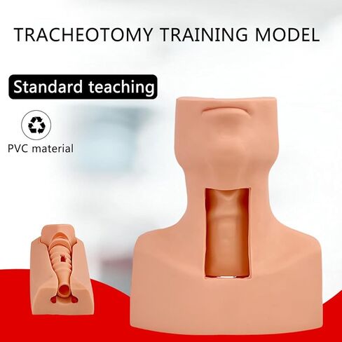 Manikin Practice Model, Cricothyroid Membrane Puncture and Tracheostomy Tube Model,Cricothyrotomy Tracheostomy Simulation Model for Hospitals, Schools, Research Centre ﻿﻿ in Saudi Arabia