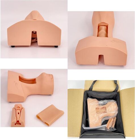 Manikin Practice Model, Cricothyroid Membrane Puncture and Tracheostomy Tube Model,Cricothyrotomy Tracheostomy Simulation Model for Hospitals, Schools, Research Centre ﻿﻿ in Saudi Arabia