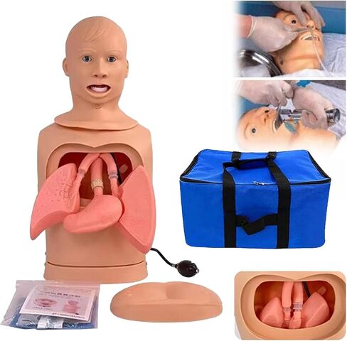 Human Intubation Gastric Tube Model Advanced Nasogastric Tube and Trachea Care Manikin Gastric Lavage Tracheostomy Model for Nurse and Medical Students in Saudi Arabia