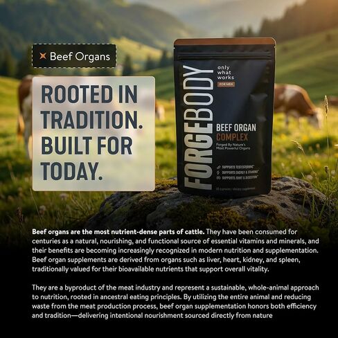 كبسولات FORGEBODY® لأعضاء لحم البقر [3 أشهر] - 100٪ مكمل لأعضاء لحم البقر الذي يتغذى على العشب مع مزيج من الكبد والقلب ونخاع العظام والبنكرياس والخصيتين - يدعم صحة الجسم ووظيفة الدماغ (غير معدل وراثيًا) in Kuwait
