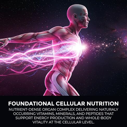 Grass Fed Beef Liver Capsules 4,500 mg – Desiccated Beef Liver Supplement – 180 Liver Capsules – Grassfed Beef Organ Supplement – Energy, Iron & Ancestral Whole Food Support – Non-GMO, ISO-Certified in Kuwait