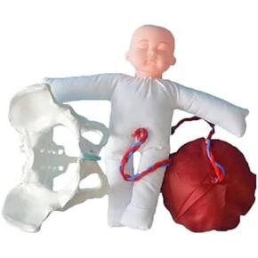 Pelvic Delivery in Placenta Free Women, Delivery Demonstration Set Teaching Anatomy, Fetal Model in Saudi Arabia