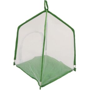 House Shaped Cage - Exquisite Ornamental Gardening Cage for Science Education and Experiment - Perfect for Butterflies, and Cultivation in Kuwait