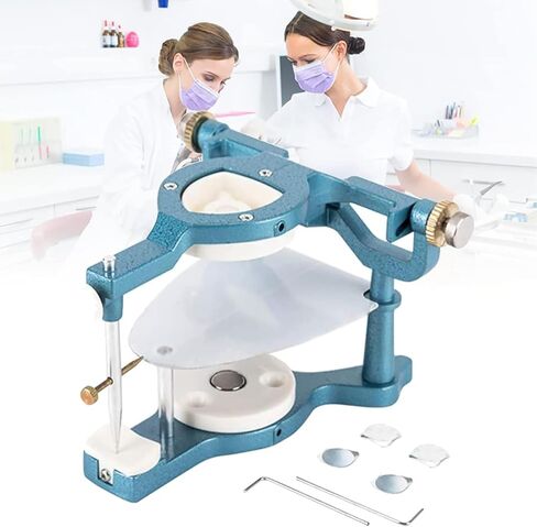 TsoLay مفصل مغناطيسي للأسنان قابل للتعديل، أدوات مختبرية مفصلية، معدات قابلة للتعديل مع مفك براغي، مفصل كبير الحجم من النوع C، لنموذج جص طقم الأسنان in Kuwait