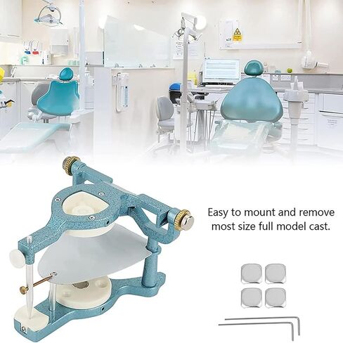 TsoLay مفصل مغناطيسي للأسنان قابل للتعديل، أدوات مختبرية مفصلية، معدات قابلة للتعديل مع مفك براغي، مفصل كبير الحجم من النوع C، لنموذج جص طقم الأسنان in Kuwait