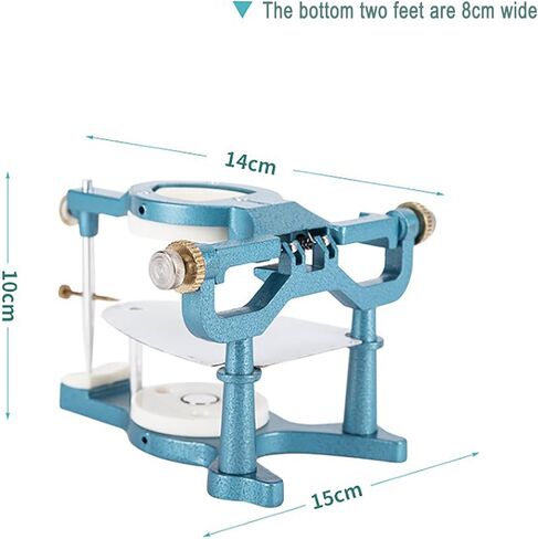 TsoLay مفصل مغناطيسي للأسنان قابل للتعديل، أدوات مختبرية مفصلية، معدات قابلة للتعديل مع مفك براغي، مفصل كبير الحجم من النوع C، لنموذج جص طقم الأسنان in Kuwait