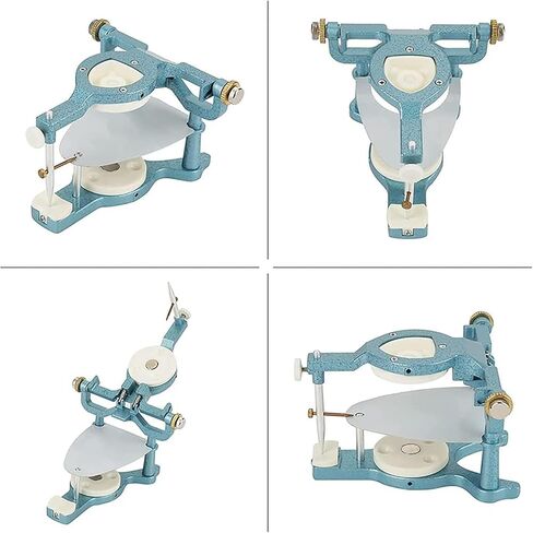 TsoLay مفصل مغناطيسي للأسنان قابل للتعديل، أدوات مختبرية مفصلية، معدات قابلة للتعديل مع مفك براغي، مفصل كبير الحجم من النوع C، لنموذج جص طقم الأسنان in Kuwait