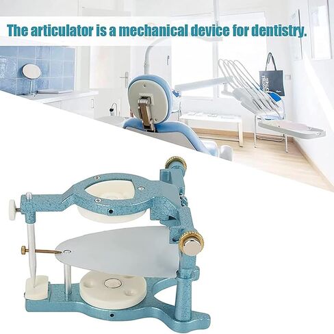 TsoLay مفصل مغناطيسي للأسنان قابل للتعديل، أدوات مختبرية مفصلية، معدات قابلة للتعديل مع مفك براغي، مفصل كبير الحجم من النوع C، لنموذج جص طقم الأسنان in Kuwait