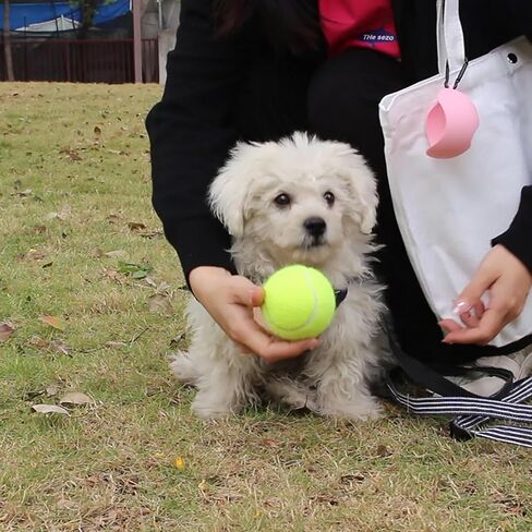 Tennis Ball Holder Leash Attachment Pet Ball Cover Holder Portable Tennis Ball Clip in Kuwait