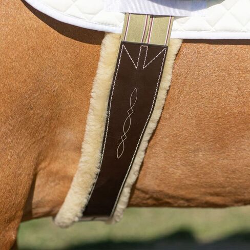 Joseph Sterling Removable Sheepskin Lined English Girth | Color Chocolate | Size 48" | 100% Sheepskin Lining | Easy-Care Sedgwick Leather | for Sensitive Skinned Horses in Saudi Arabia