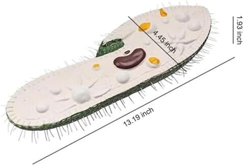 Single Celled Animals Paramecium Model,Biological Education Equipment Teaching Resource Anatomy in Saudi Arabia