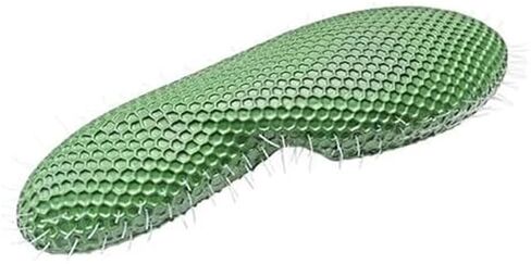 Single Celled Animals Paramecium Model,Biological Education Equipment Teaching Resource Anatomy in Saudi Arabia
