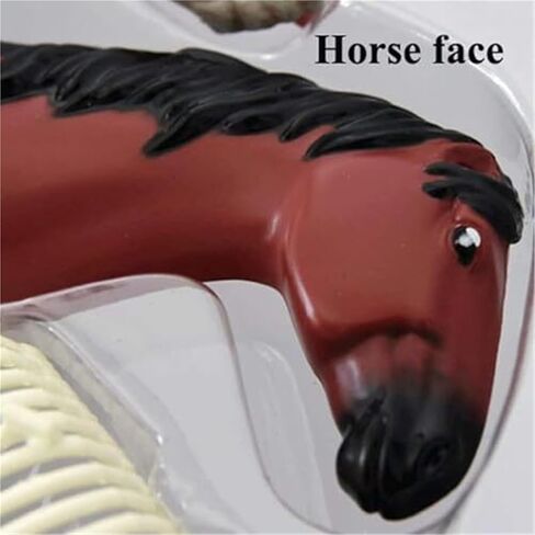 4D Horse Anatomy Model, Animal Bone Specimens, Detachable 26 Parts, Veterinary Training in Pet Clinics, Medical Education in Saudi Arabia