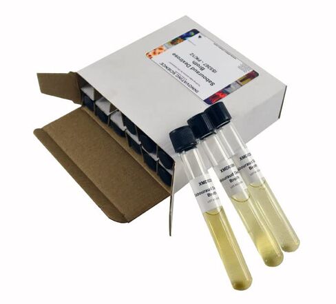 Sabouraud Dextrose Broth Tubes, Pack of 12 - Sterile Microbiological Culture Media - The Curated Chemical Collection by Innovating Science in Kuwait