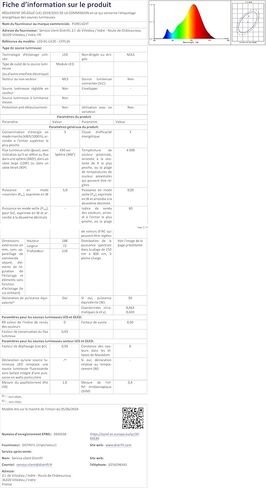 Stentor, 4-String Violin, Brown,Red (1500 1/4) in Kuwait