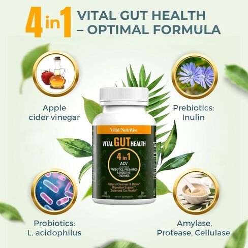 Vital Gut Health 4in1 Formula with Apple Cider Vinegar, Prebiotics & Probiotics, Digestive Enzymes for Strong Immunity Support and Complete Gut and Digestion Support- 30 Days Supply in Kuwait
